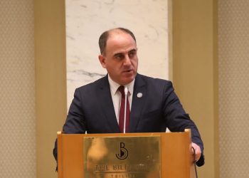 სემეკის მიერ ჩამოწერილი თანხების ჯამი 25 მილიონ ლარს აღემატება – დავით ნარმანია