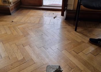 ,, ეს ქვა რამდენიმე წუთის წინ შემოვარდა ჩვენს ოფისში… თავში ხვდებოდა თანამშრომელს” – ზაზა ბიბილაშვილი