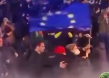 “უყურე, ევროპა! ბოლოს როდის გინახავს, შენი დროშა ასე ეჭიროს ვინმეს?” – დათა თავაძე