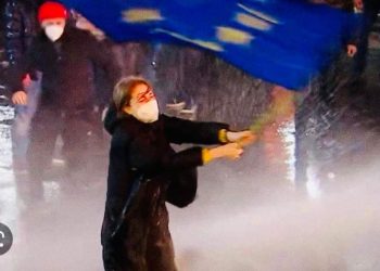 ქალი ევროკავშირის დროშით საჯარო მოხელეა