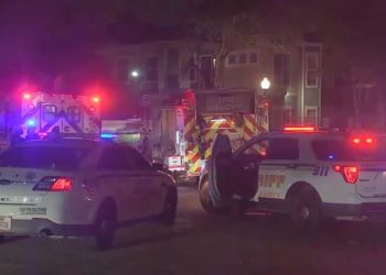 ჰიუსტონში 3 წლის გოგომ 4 წლის და მოკლა