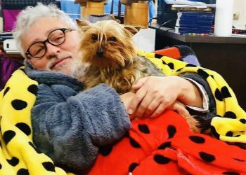 გია ჯაჯანიძე დაკარგულ ოთხფეხა მეგობარს ეძებს – „ჩემი თილი ეზოდან გაიპარა და ვერ ვპოულობთ“