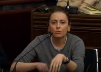 დაიგინები? გაჩუმდი, უწუგნურო! – დეკანოიძე ყაველაშვილს