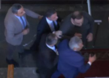 “ოცნების” დეპუტატები გუბაზ სანიკიძეს ფიზიკურად დაუპირისპირდნენ