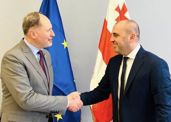 “დემონსტრაციები უნდა იყოს მშვიდობიანი, მარტის აქციები მშვიდობიანი იყო” – ევროკავშირის ელჩის შეხვედრა ლევან ხაბეიშვილთან