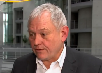 კანონპროექტი იგნორირებას უკეთებს EU-ს რეკომენდაციებს – გერმანელი დეპუტატი