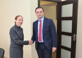 რას წერს აშშ–ის ელჩთან შეხვედრის შემდეგ ლევან იოსელიანი