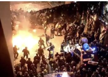 სპეცრაზმს აქციაზე მდგარმა სუსის აგენტებმა, ე.წ. მოლოტოვის კოქტეილები ესროლეს –  (ვიდეო)