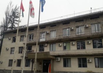 ჟურნალისტი ნატო გოგელია ალტ–ინფოს ერთ–ერთმა ლიდერმა სცემა – რა მოხდა გურიაში