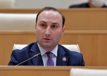 უსამშობლო კაცი ხარ – ოხანაშვილი ვაშაძეს