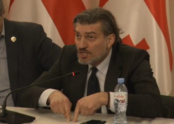 დიახაც, არ მინდა ეგეთი ევროპა… – დეპუტატმა კონსტიტუციით განსაზღვრული საგარეო კურსი კიდევ ერთხელ უარჰყო