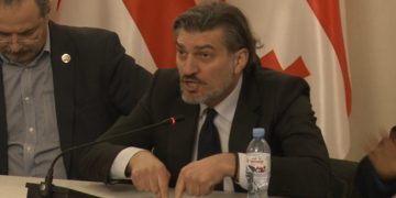 დიახაც, არ მინდა ეგეთი ევროპა… – დეპუტატმა კონსტიტუციით განსაზღვრული საგარეო კურსი კიდევ ერთხელ უარჰყო