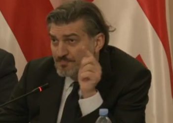 შენ “ვაფშე” დაახვიე აქედან – ყაველაშვილი ანა წითლიძეს