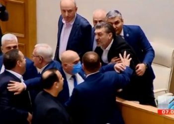(ვიდეო) – დაგინება და გინება პარლამენტში
