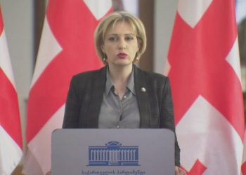 “როდესაც ჩაცხრება ემოციები, ფართო საინფორმაციო კამპანიას გავშლით” – სეფაშვილი რუსულ კანონპროექტზე