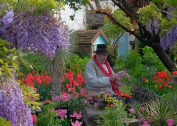 „აბა როგორ არ ვიყო ამ აურზაურში იმ მხარეს რომელზეც ვარ?!“ – ზურა შევარდნაძე