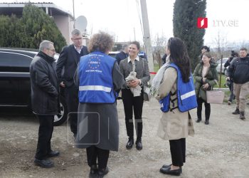 შვედეთის პრინცესა წეროვანის დასახლებაში იმყოფებოდა