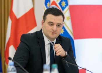 “რუსეთის გარდა ვის უხარია მარტო მყოფი საქართველო?” – მერიის მაღალჩინოსანი