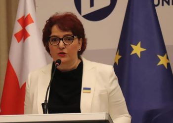 “იქნებ ეს მიამიტური სახის გამომეტყველება მაინც შეგეცვალოთ” – თინა ხიდაშელი