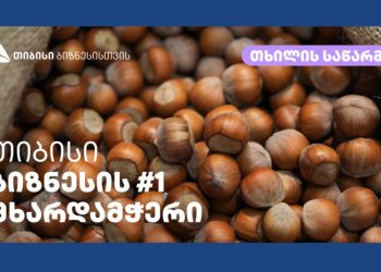 გიორგი ცქვიტარიამ თიბისისთან პარტნიორობით ჩხოროწყუს რაიონის სოფელ ხანწკში თხილის გადამამუშავებელი ქარხანა გახსნა