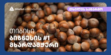 გიორგი ცქვიტარიამ თიბისისთან პარტნიორობით ჩხოროწყუს რაიონის სოფელ ხანწკში თხილის გადამამუშავებელი ქარხანა გახსნა