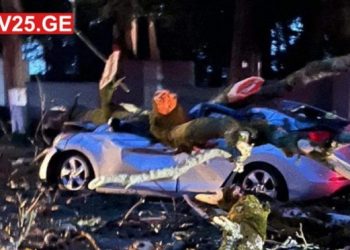 ქობულეთში მანქანას ხე დაეცა – არის მსხვერპლი