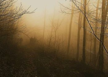 “შიშის ზონა” საქართველში – რისთვის არის ეს ადგილი განწირული – დავით ქაცარავა