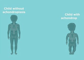 “ვპასუხობ მთავრობის ორ მთავარ ცრუ მესიჯბოქს” – წერილი სოციალური ქსელიდან