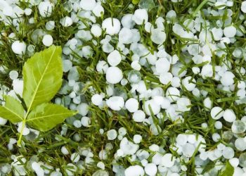 გორში სეტყვა იყო