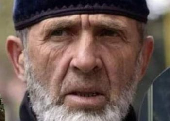 “რევოლუცია თუ გვიხსნის ან სამოქალაქო აჯანყება ამ რკინის “ზაბორებისგან” – მაჩალიკაშვილი