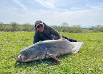 სენაკში, ანკესით დაიჭირეს გიგანტური ლოქო – დეტალები