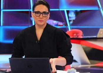 “ყველაზე მშრომელი და კარგი პარლამენტარი ესაა” – დიანა ტრაპაიძე