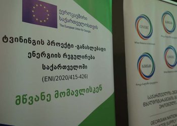 სემეკში განხორციელებული ტვინინგის პროექტის დახურვის ღონისძიება გაიმართა