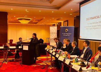 სემეკის წარმომადგენლებმა ენერგეტიკის რეგულირების რეგიონალური ასოციაციის ღონისძიებებში მიიღეს მონაწილეობა