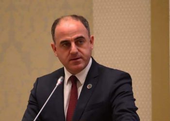 დავით ნარმანია საქართველოს დამსაქმებელთა ასოციაციის ორგანიზებით  გამართულ შეხვედრაზე სიტყვით წარდგა