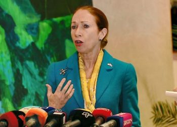 ვისაუბრეთ რით დავეხმაროთ პარლამენტს სასამართლო სისტემის რეფორმისთვის – დეგნანი პაპუაშვილთან შეხვედრაზე