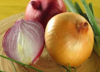 რატომ გაძვირდა ხახვი – მთავარი იმპორტიორი კვლავ რუსეთია