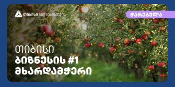 თიბისისთან პარტნიორობით კომპანია „ჭარებულამ“ გორის რაიონში ინტენსიური ვაშლის ბაღები გააშენა