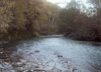 კახეთში მდინარემ კაცი გაიტაცა