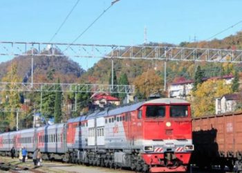 რუსეთმა ოკუპირებული აფხაზეთის გავლით თურქეთში საქონლის ტრანზიტი დაიწყო