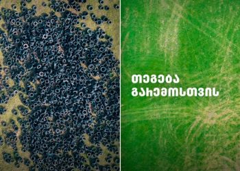 თეგეტა გარემოსთვის – თბილისის შემოვლითი გზის ტერიტორია საბურავებისგან უკვე გაწმენდილია