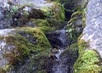 “მზეუნახავი წყარო” – “მზის ჩასვლისას ჩნდება წყარო, მზის ამოსვლისას კი ქრება” – ბატიაშვილი