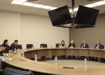 დავით ნარმანია ჩინური ენერგეტიკული კომპანიის “China Power”-ის წარმომადგენლებს  შეხვდა