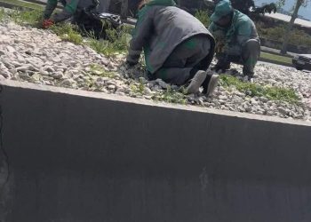 ,, ეს არის ადამიანების წამება, არარაციონალური ხარჯი და სრული გამოთაყვანება” – ირაკლი კუპრაძე