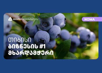 თიბისის მხარდაჭერით კომპანია „ნომა“ მოცვის მეურნეობას აფართოებს