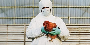 ფრინველის გრიპის გამო მოსკოვში კარანტინი გამოაცხადეს