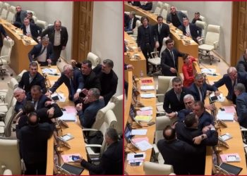 ხელჩართული ჩხუბი პარლამენტში – ვიდეო