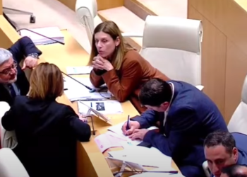 ოპოზიცია “ოცნებას” საკონსტიტუციოში უჩივის – დოკუმენტს ხელი სხდომათა დარბაზში მოაწერეს