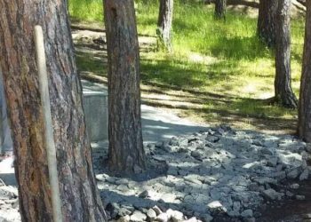 ბეტონის ფენა მოიხსნა, მოხდება გარემოზე მიყენებული ზიანის შესწავლა – გარემოსდაცვითი დეპარტამენტი სურამზე