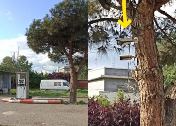 გლდანი – ხეზე მიმაგრებული კამერები – „ჩემი ქალაქი მკლავს“